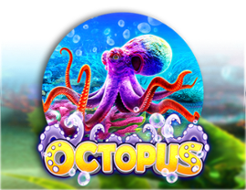 Octopus