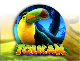 Toucan