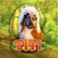 Titi