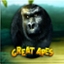 Great Apes