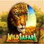Wild Safari