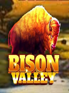 Bison Valley
