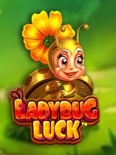 Ladybug Luck