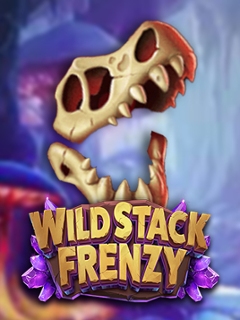 Wild Stack Frenzy