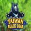 Taiwan Black Bear