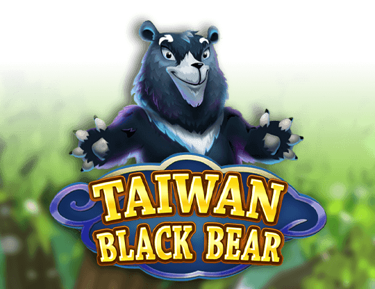 Taiwan Black Bear