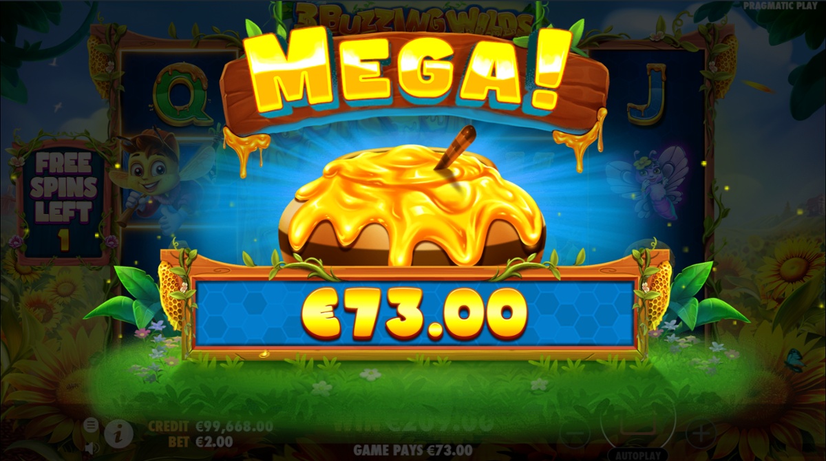 3 Buzzing Wilds - Mega win