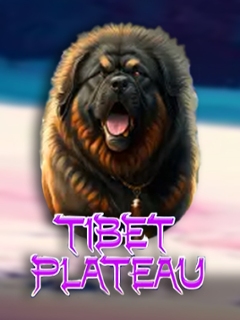 Tibet Plateau