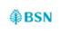 BSN Bank