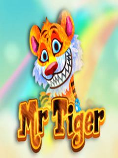 Mr Tiger