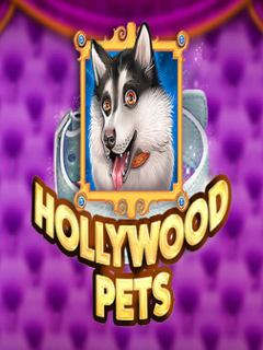 Hollywood Pets