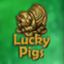 Lucky Pigs
