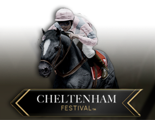 Virtual! Horse Racing at Cheltenham Festival