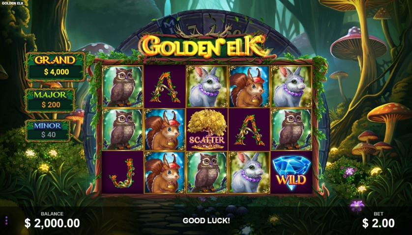 Golden Elk.jpg