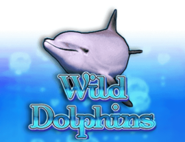 Wild Dolphins