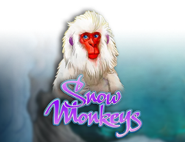 Snow Monkeys