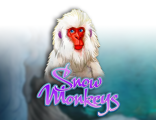 Snow Monkeys