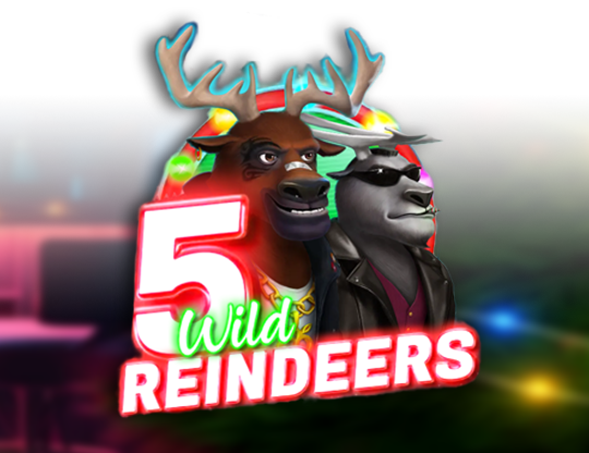 5 Wild Reindeers