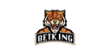 BETKING Casino