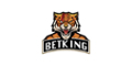 BETKING Casino
