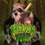 Racoon Town