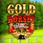 Gold Horsey Winner