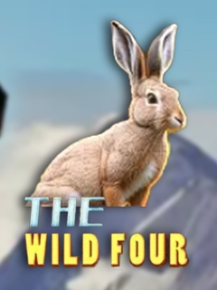 The Wild Four