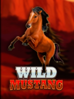 Wild Mustang