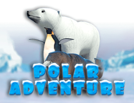 Polar Adventure