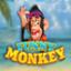 Funny Monkey
