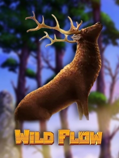 Wild Flow