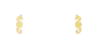 Casino Cruise