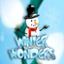 Winter Wonders