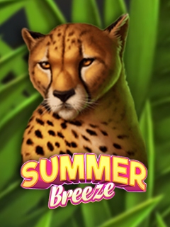 Summer Breeze