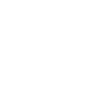 Nordicasino Logo