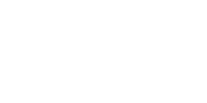 NYspins Casino Logo