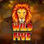 Wild Five