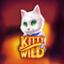 Kitty Wild