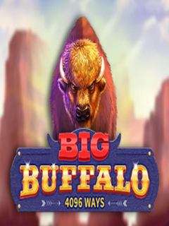 Big Buffalo