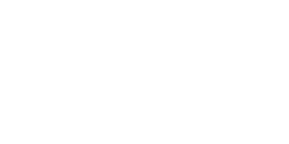 Punch Bets Casino Logo