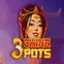 3 China Pots