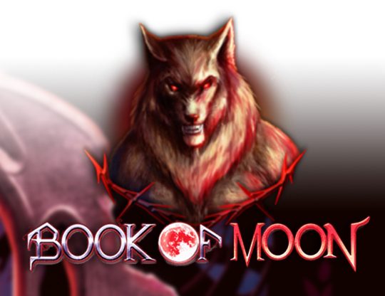 Book of Moon