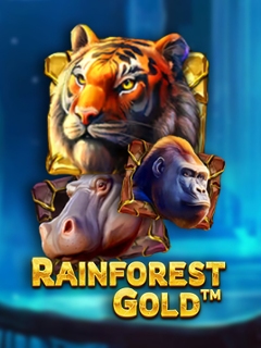 Rainforest Gold