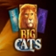 Big Cats of India