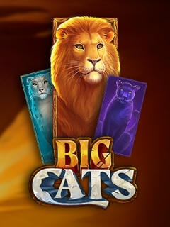 Big Cats of India