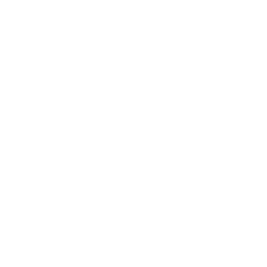 Rose Slots Casino Logo