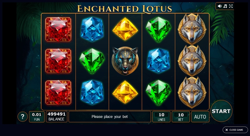 Enchanted Lotus.jpg