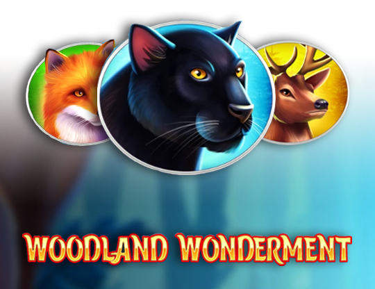 Woodland Wonderment