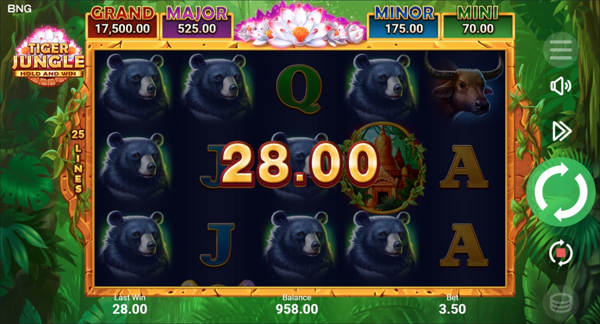 Tiger Jungle slot win