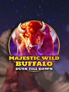 Majestic Wild Buffalo - Dusk Till Dawn